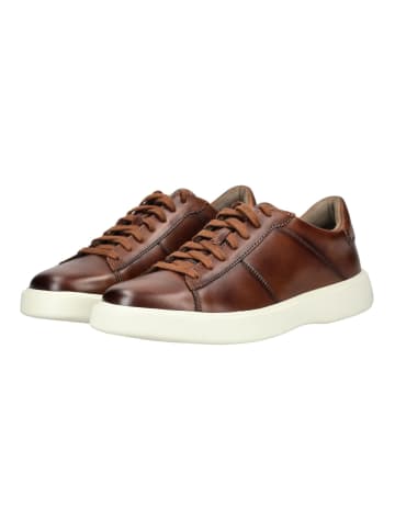 Pius Gabor Sneaker in Cognac