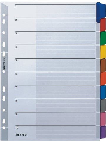 Leitz Register A4 blanko 10-teilig 160g/qm grau