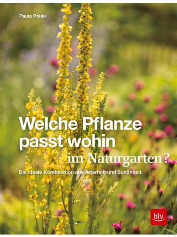 Gräfe und Unzer Welche Pflanze passt wohin im Naturgarten? | Die ideale Kombination aus...