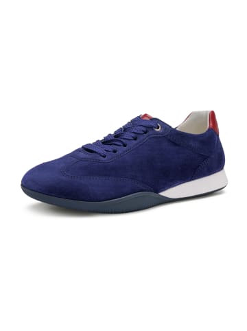 ara Sportliche Schnürschuhe in Blau