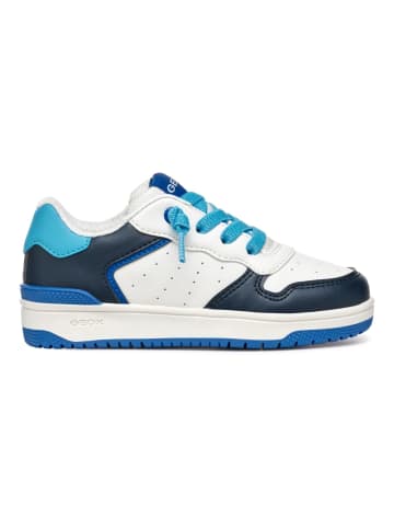 Geox Sneaker in Blau/Weiß