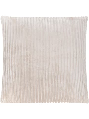 Aspero Salta in Taupe