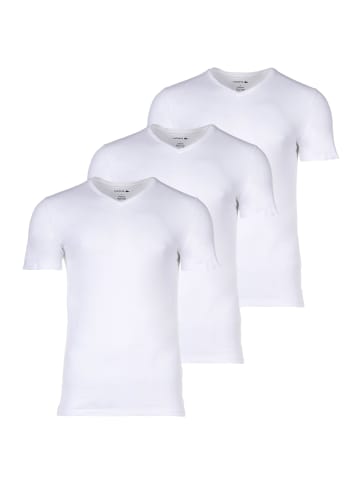 Lacoste T-Shirt 3er Pack in Weiß