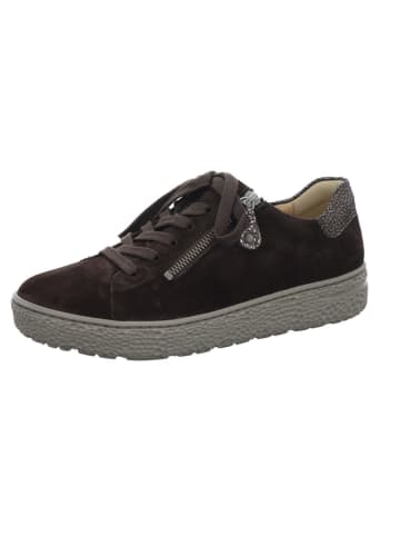 Hartjes Sneaker Low in braun