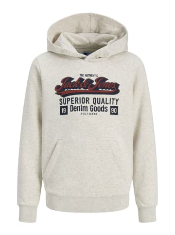 JACK & JONES Junior Hoodie JJELOGO SWEAT HOOD 2 COL MNI in white melange