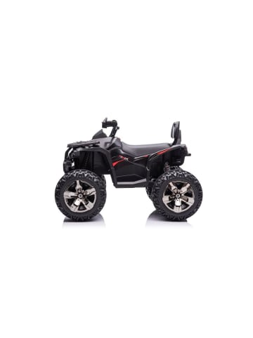 Wisam® Elektrisches Aufsitz-Quad QLS-3288