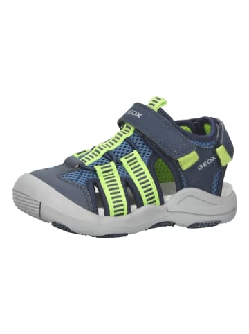 Geox Sandalen in Navy/Lime