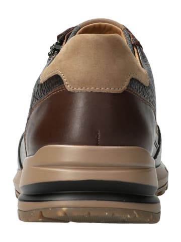 Mephisto SHOES "Bradley" in DARK BROWN