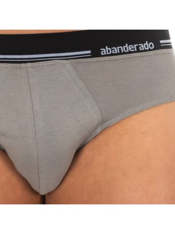 Abanderado Slip in Gray