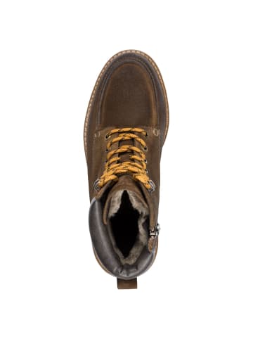 Tamaris Stiefelette in CAMEL