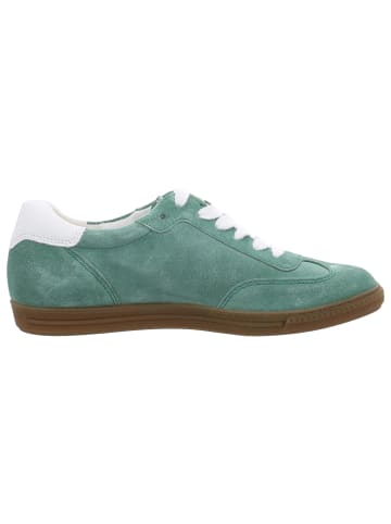 Paul Green Sneaker in grün