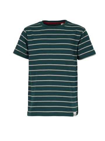 Band of Rascals T-Shirt " Striped " in racing-green-moos