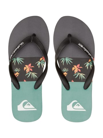 Quicksilver Flip-Flops Molokai in Mehrfach