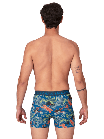 Muchachomalo 3er-Set: Boxershort in Mehrfarbig - für Herren
