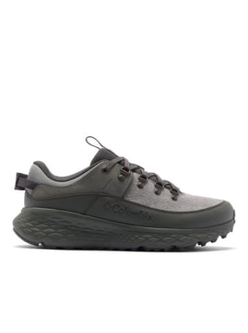Columbia Sneakers Terrastride in bunt