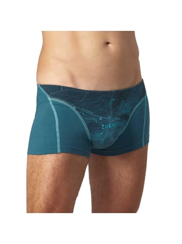 EIN SCHÖNER FLECK ERDE Boxershort 1er Pack in Zugspitze (Türkis)