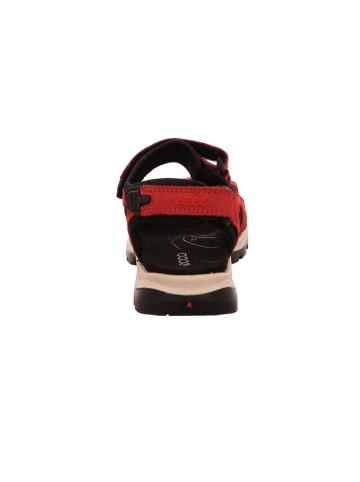 Ecco Outdoorsandalen Offroad in BRICK/CHILI RED