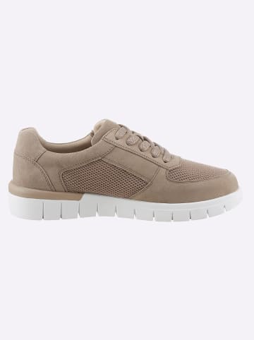 Caprice Sneaker in schoko