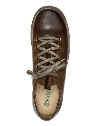 MADDOX Schuhe HEINI in braun