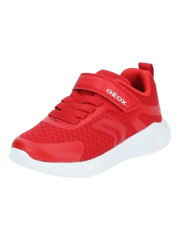 Geox Sneaker in Rot