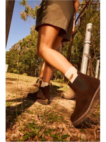 Blundstone Chelsea Boot "2689 Deepest Brown Suede (Aerocork Boot)" in Braun