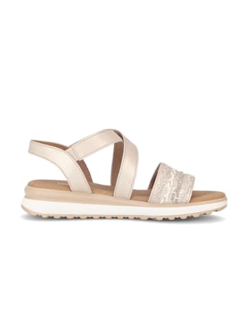 Gabor Riemchensandalen in beige