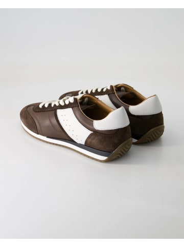Terry Klassische Schnürschuhe in Braun