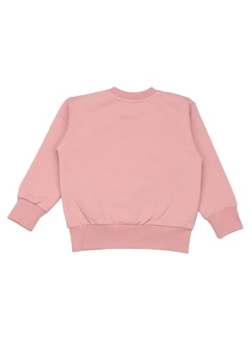 Walkiddy Sweatshirt Ladybugs & Butterflies - Sweatshirt