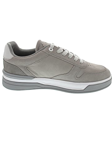 LLOYD STAGE Sneaker low Grau