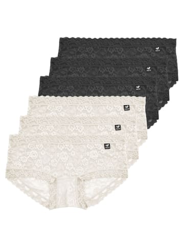 Like It 6er Pack Panty in schwarz-ivory