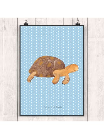 Mr. & Mrs. Panda Bild Schildkröte MHerzieren ohne Spruch in Blau Pastell