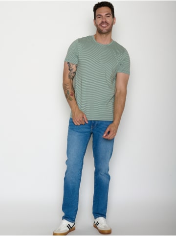 GreenBomb Spice Basic in Bamboo Stripes