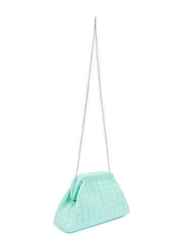 Sookie Women Clutch in Light Green