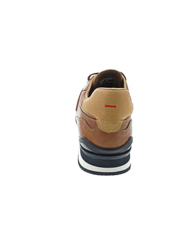 LLOYD Enos Sneaker low Braun