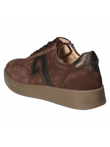 Beliana orthopädischer Schnürhalbschuh in brown