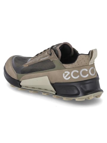 Ecco Low Sneaker BIOM 2.1 X MOUNTAIN M in Grün