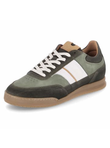 Bullboxer Schuh in green