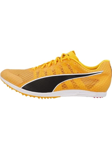 Puma Sneaker "evoSPEED Distance 11" in Orange