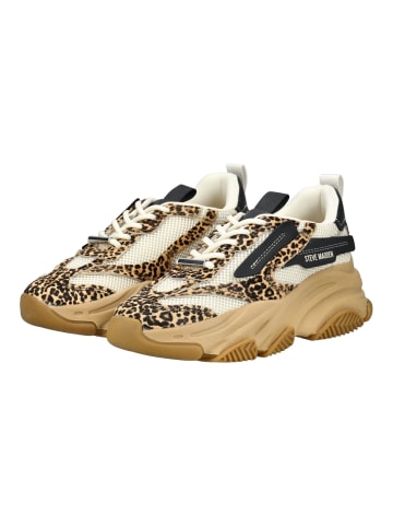 Steve Madden Sneaker in Leopard
