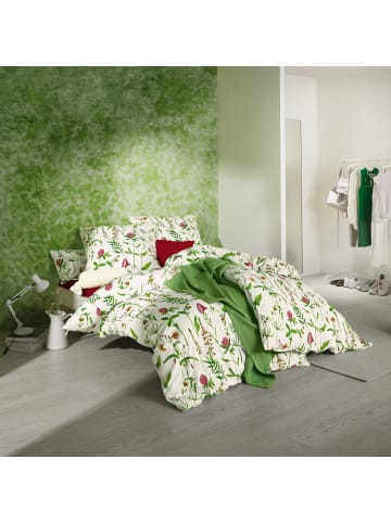 Erwin Müller Single-Jersey Kissenbezug in rot-grün