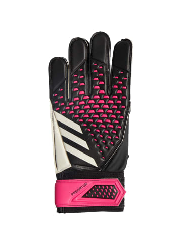 adidas Performance Torwarthandschuh Predator Training in schwarz / pink