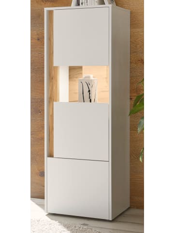 Furn.Design Vitrine weiß, Eiche Wotan 50 x 155 cm, Vitrinenschrank mit 4 Fächern