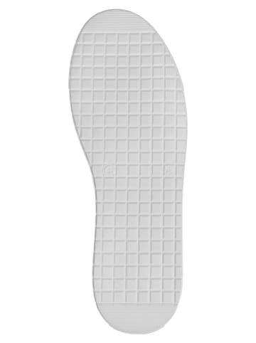 Dogo Ace Sneakers - Mountain Explorer in Weiß