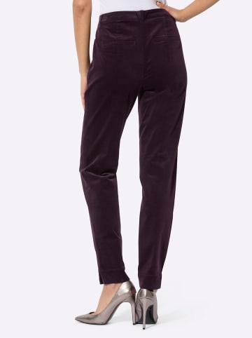 creation L Baumwoll-Modal-Cordhose in aubergine