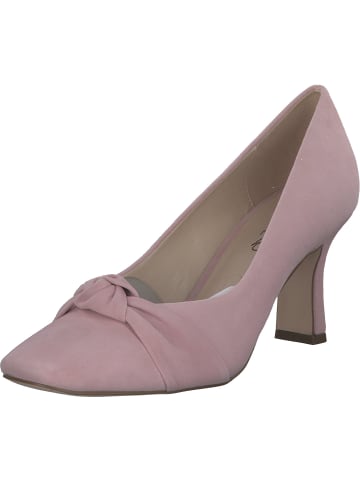 Caprice Pumps in CANDY SUEDE