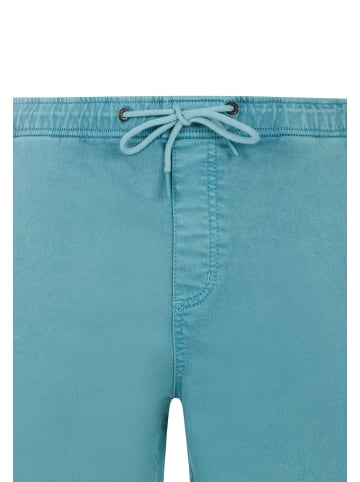 Protest " PRTHoover in Arcticgreen