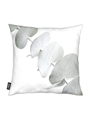 Juniqe Kissen "Eucalyptus White 3" in Grün & Weiß