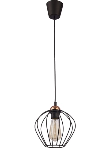 Licht-Erlebnisse Pendelleuchte (B)20 x (L)20 x (T)100 cm in Schwarz Kupfer