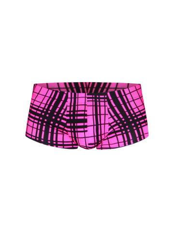 Oboy Pants U128 in pink