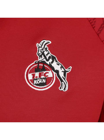 uhlsport  Kapuzensweatjacke 1. FC Köln Goal 24 in rot